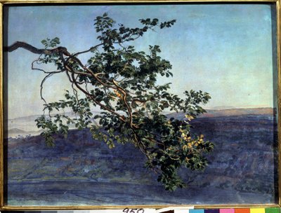 ""La branche"" Peinture de Alexander Ivanov (1806-1858) 1840-1850 State Tretyakov Gallery, Moscou av Aleksandr Andreevich Ivanov