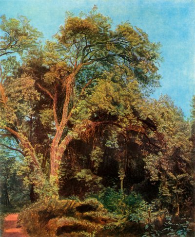 Träd i parken, mitten av 1800-talet, 1965. av Aleksandr Ivanov