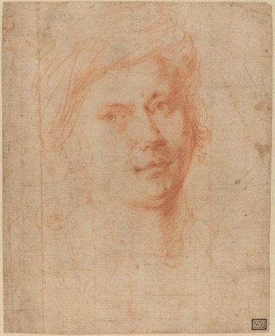Chef för en ungdom av Alessandro Allori