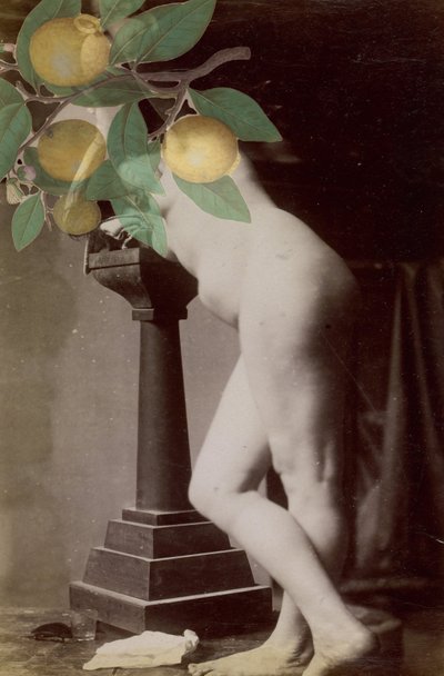 Alliance, 2020 (collage) av Alex Caminker