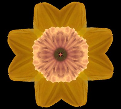 Symmetry, 2019, (fotografi) av Alex Caminker