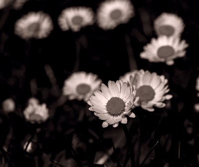 Units,2019,(fotografi) av Alex Caminker