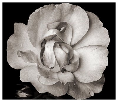 Namnlös, 2019, (fotografi) av Alex Caminker