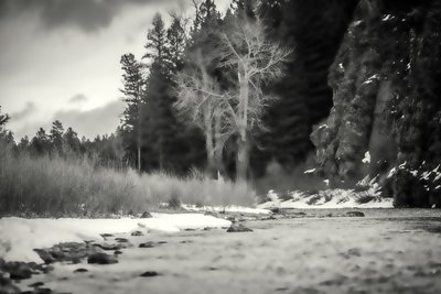 accenter, 2019, (fotografi) av Alex Caminker