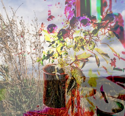 stilleben, 2019, (collage) av Alex Caminker