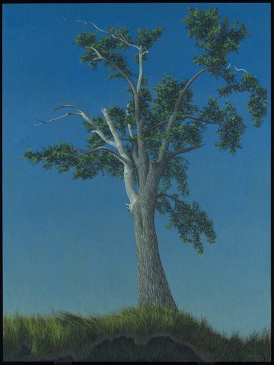 Almträd vid Horton Landing av Alex Colville