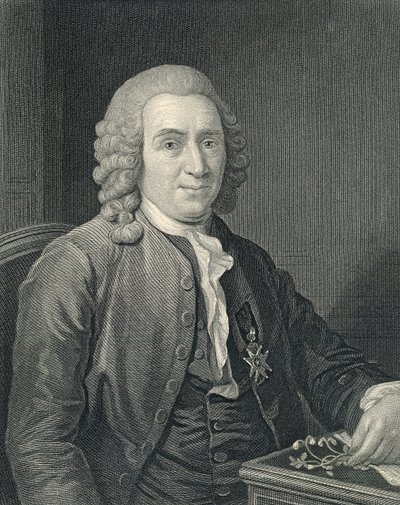 Porträtt av Carolus Linnaeus av Alexander (after) Roslin