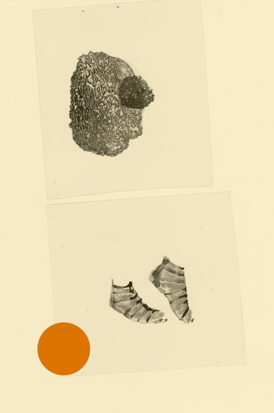 Huvudfoting av Alexander Adiels