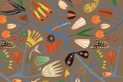 Kling av Alexander Adiels