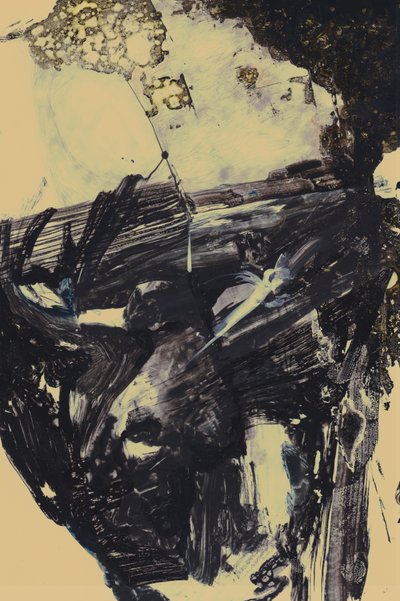 Polar av Alexander Adiels