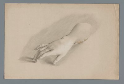 Gipsmodell av en hand av Alexander Cranendoncq