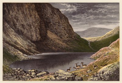 Skotska landskap vid Loch: Dhu Loch, Loch-na-gar (färglitografi) av Alexander Francis (after) Lydon