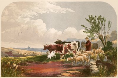 Illustration för Goldsmith