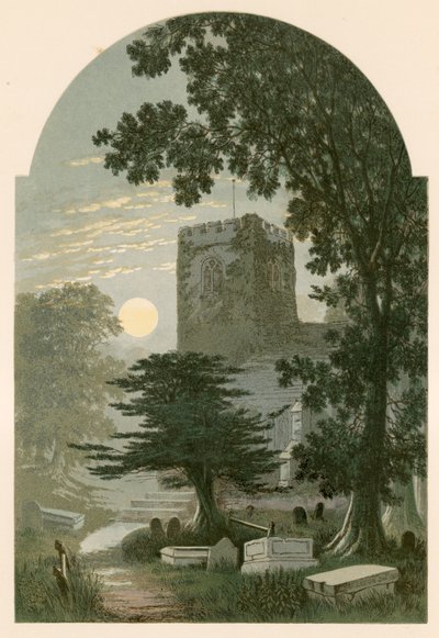 Illustration för Grey