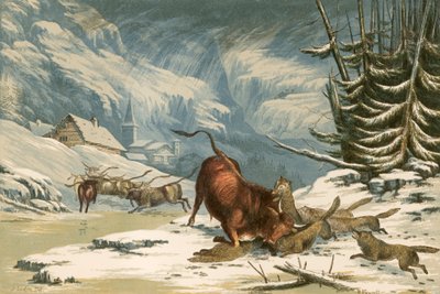 Illustration för Thomsons Wolves in Winter av Alexander Francis Lydon