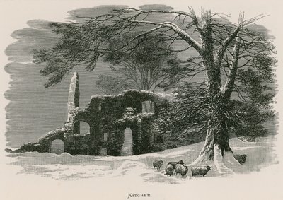 Kirkstall Abbey, kök av Alexander Francis Lydon