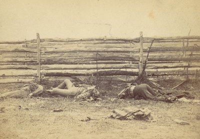 Utsikt i fältet, på västra sidan av Hagerstown Road, efter slaget vid Antietam, ..., 1862. av Alexander Gardner