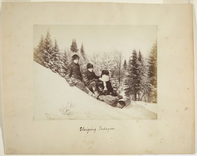 Kälkeåkning, ca 1873 (albumintryck (komposit)) av Alexander Henderson