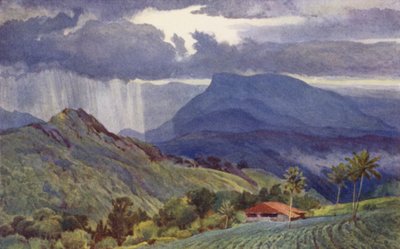 En tropisk dusch av Alexander Henry Hallam Murray