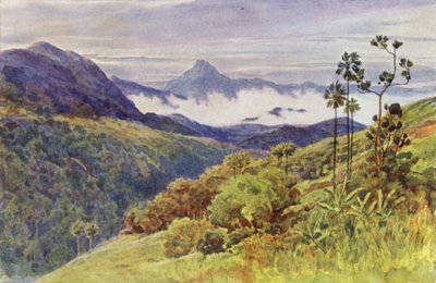 Morgondimmor i dalen av Mahaweli Ganga (färg litho) av Alexander Henry Hallam Murray