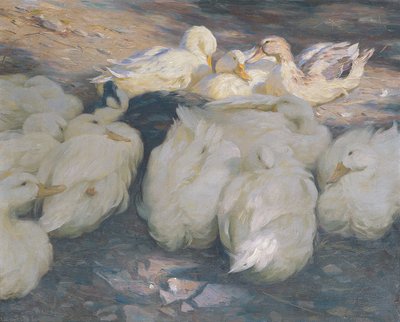 I kvällssolen av Alexander Koester