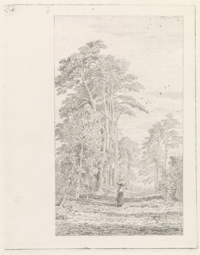 tall allé av Alexander Mollinger