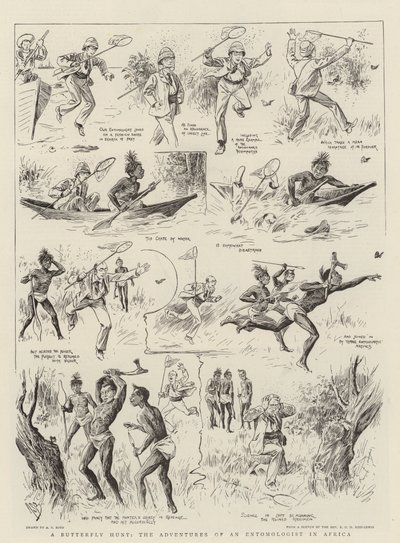 En fjärilsjakt, en entomologs äventyr i Afrika av Alexander Stuart Boyd