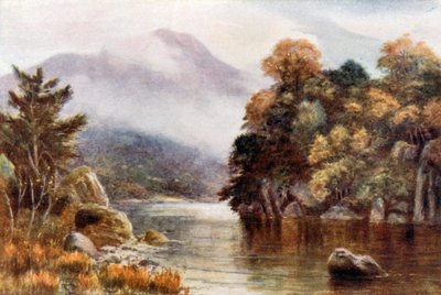 Muckross Lake, Killarney (färglitografi) av Alexander Williams