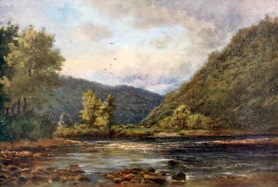 The Meeting of the Waters, Woodenbridge (färglitografi) av Alexander Williams