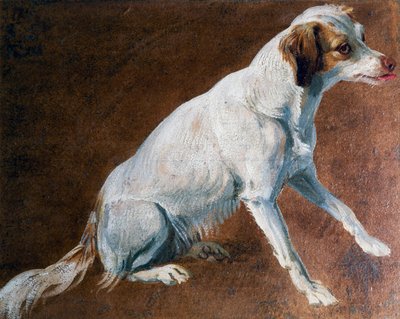 Fransk spaniels förfader, av Alexandre-Francois Desportes (1661-1743), Frankrike av Alexandre Francois Desportes