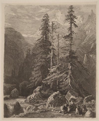 Etsningsstudier av Alexandre Calame, I, plansch 21 av Alexandre Calame