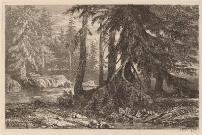 Etsförsök av Alexandre Calame, III, pl. 16 av Alexandre Calame