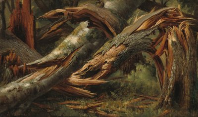 Fallet träd av Alexandre Calame