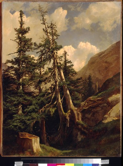 Granar i bergen av Calame, Alexandre (1810-1864). Olja på duk, Mått: 68,5x53. State A. Pushkin Museum of Fine Arts, Moskva av Alexandre Calame