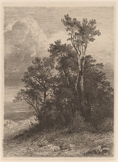 Grove av träd av Alexandre Calame