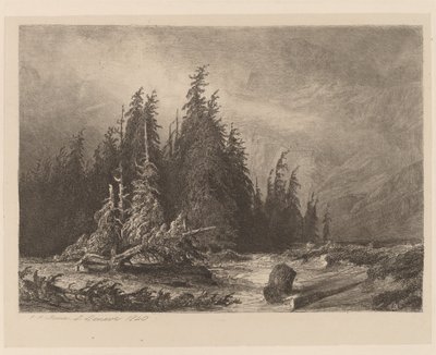 Berg tallar av Alexandre Calame