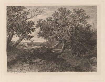 Streama med överhängande träd av Alexandre Calame