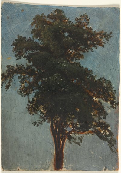 Trädstudie av Alexandre Calame