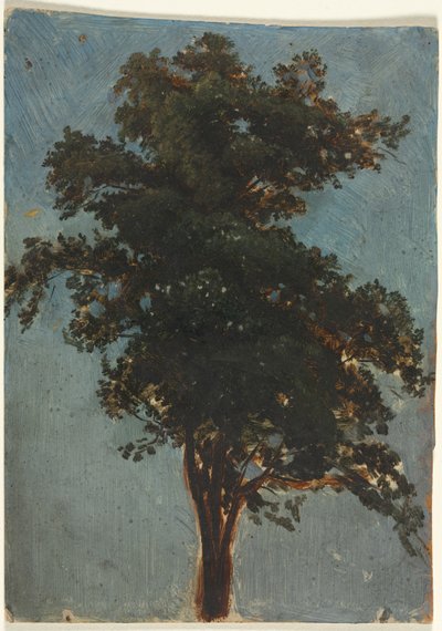 Trädstudie, andra tredje 1800-talet. av Alexandre Calame