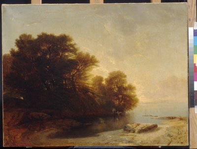 Träd vid sjön vid Calame, Alexandre (1810-1864). Olja på duk, Mått: 62x81. State A. Pushkin Museum of Fine Arts, Moskva av Alexandre Calame