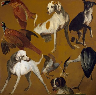 Studie av fåglar och hundar, av Alexandre-Francois Desportes (1661-1743), Frankrike av Alexandre Francois Desportes