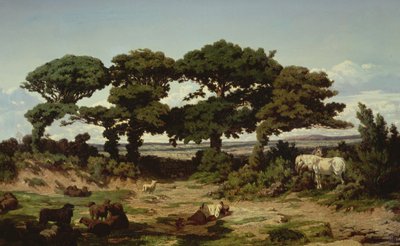 The Oaks of Kertregonnec, c.1869-70 av Alexandre Sege
