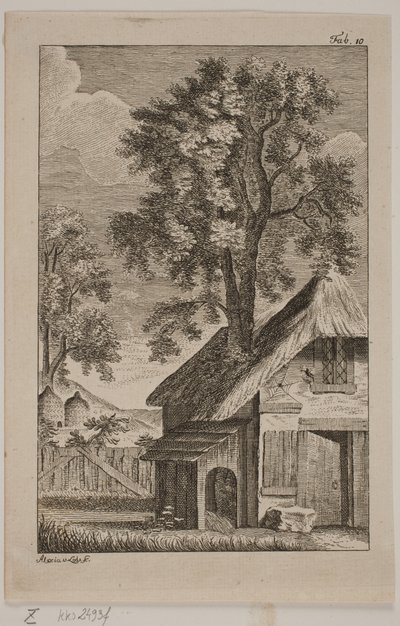 Spindeln och biet av Alexia von Lode