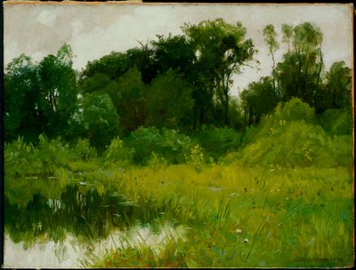 Efter regn, på Minnehaha Creek av Alexis Jean Fournier