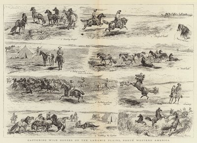 Fånga vilda hästar på Laramie Plains, nordvästra Amerika av Alfred Chantrey Corbould