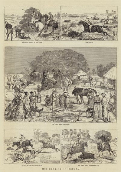Hog-Jakt i Bengalen av Alfred Chantrey Corbould