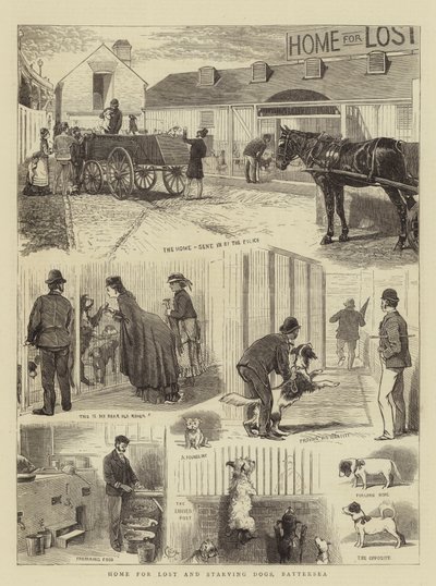 Hem för vilsna och svältande hundar, Battersea av Alfred Chantrey Corbould
