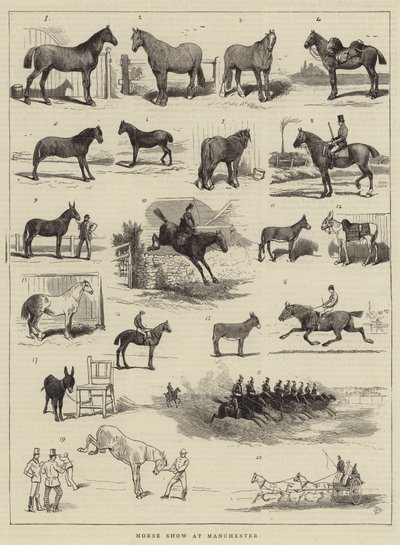 Horse Show i Manchester av Alfred Chantrey Corbould