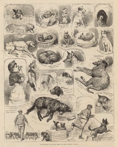 Kennelklubbens hundutställning i Crystal Palace av Alfred Chantrey Corbould