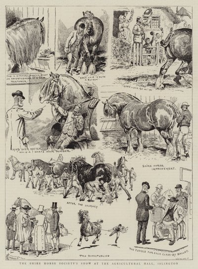 Shire Horse Society